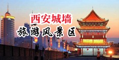 驲美女逼逼中国陕西-西安城墙旅游风景区